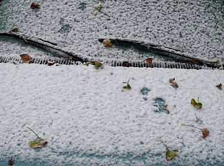 纽约雪 NYC Snow (2011 – 2015)，艾琳娜兄弟