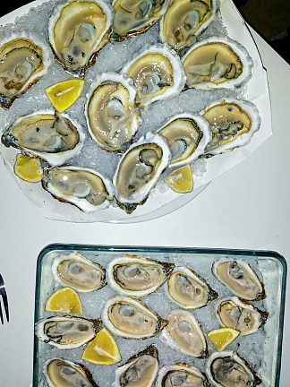 牡蛎 Oysters (2011 – 2015)，艾琳娜兄弟