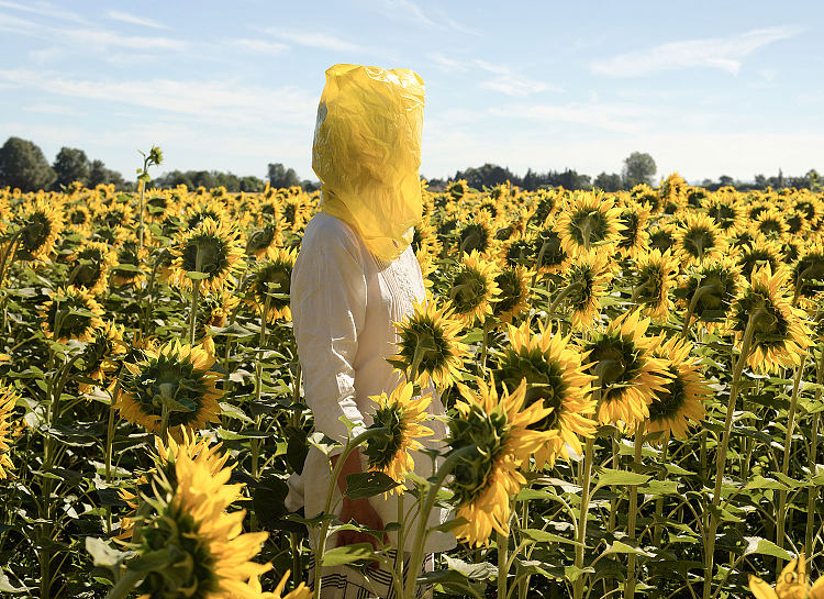 肖像系列（黄色音乐与向日葵） Portrait Series (Gelbe Musik with Sunflowers) (2016)，艾琳娜兄弟