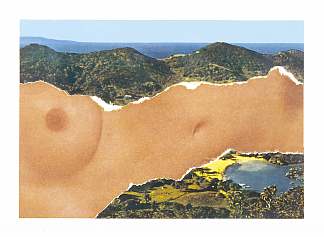 圣马丁景观 Saint Martin Landscape (1979)，埃斯沃兹·凯利