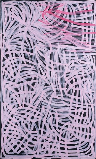 阿威利 Awelye (1995)，Emily Kame Kngwarreye