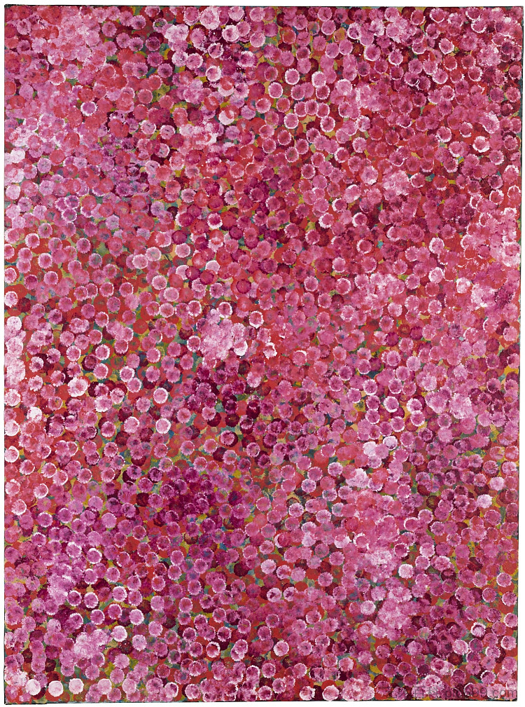 沙漠丰富 Desert Abundance (1993),Emily Kame Kngwarreye