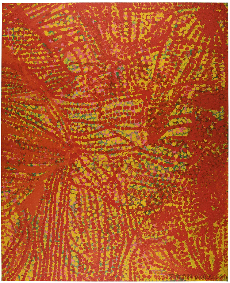 肥沃的沙漠 Fertile Desert (1992),Emily Kame Kngwarreye
