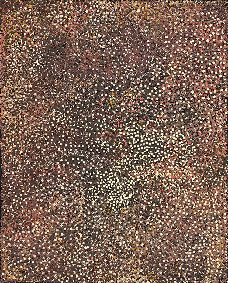 无题（干花和水果） Untitled (Dried Flowers and Fruits) (1990)，Emily Kame Kngwarreye