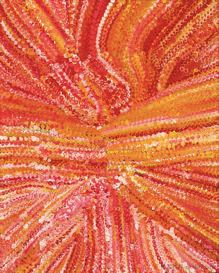 无题(野花梦) Untitled (Wildflower Dreaming) (1992),Emily Kame Kngwarreye
