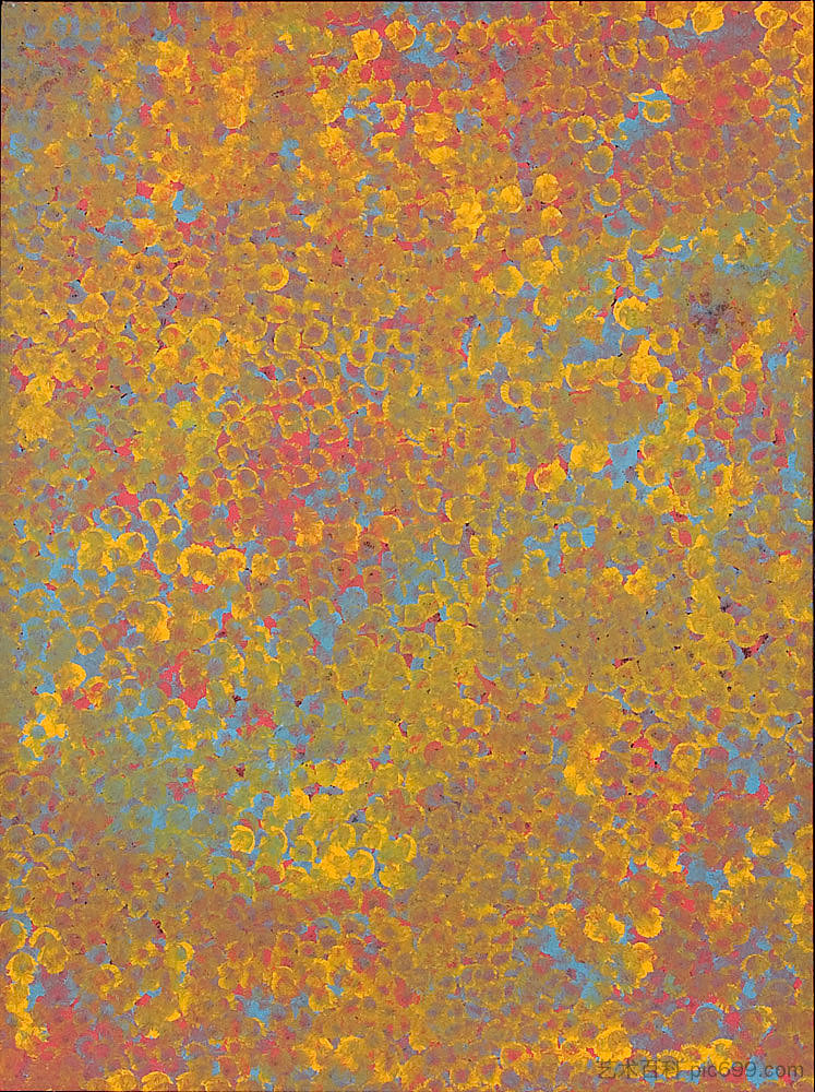 野花 Wildflower (1994),Emily Kame Kngwarreye