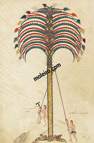 棕榈树的隐喻 The metaphor of the palm tree (c.975)，恩德