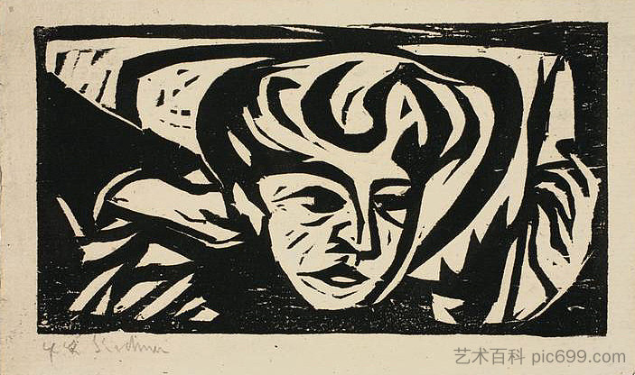 渡渡鸟头枕头 Dodo Head on Pillow (1906),恩斯特·路德维希·克尔希纳