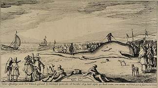 诺德韦克海滩上的抹香鲸 Sperm whale on the beach of Noordwijk (1614)，艾萨亚斯·凡·德·维尔德