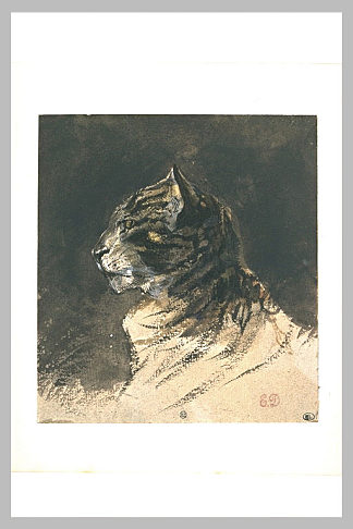 猫头 Cat head，欧仁·德拉克罗瓦