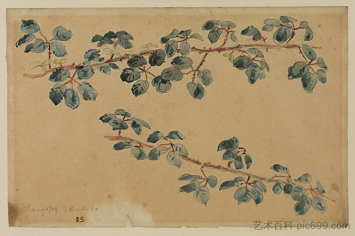 两枝带叶子 Two branches with leaves，欧仁·德拉克罗瓦