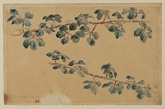 两枝带叶子 Two branches with leaves，欧仁·德拉克罗瓦