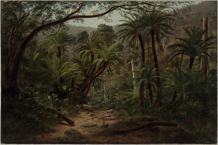 丹德农山脉的芬特里沟 Ferntree Gully in the Dandenong Ranges (1857)，约翰·约瑟夫·尤金·冯·盖拉德