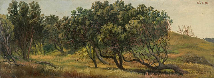 金银花，开普尚克 Honeysuckles, Cape Schanck (1873)，约翰·约瑟夫·尤金·冯·盖拉德