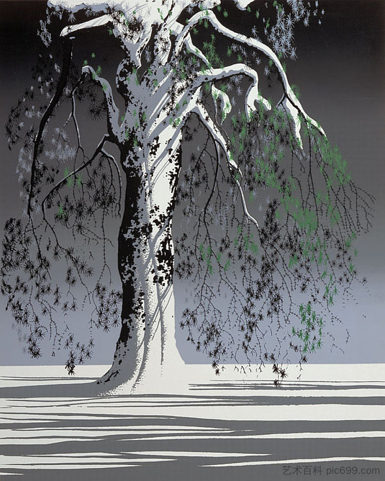 雪中的冷杉树 Fir Tree In Snow (1975; United States  )，艾文·厄尔