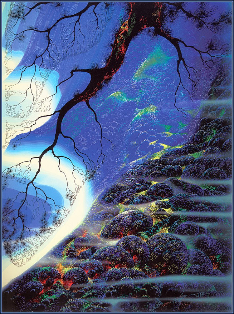 神秘的大苏尔 Mystical Big Sur (1995; United States  )，艾文·厄尔