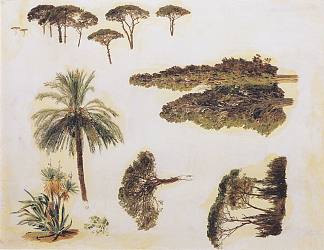 来自罗马的树木研究 Tree studies from Rome (1846)，费尔迪南德·乔治·瓦尔特米勒