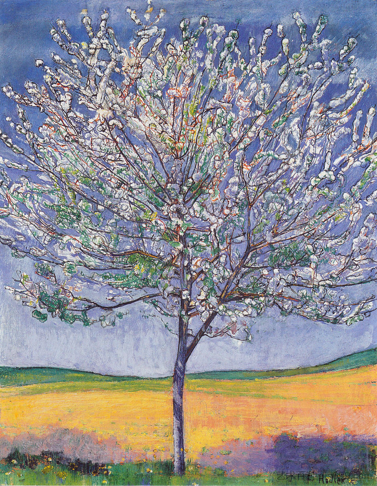 盛开的樱桃树 Cherry Tree in Bloom (1905)，费迪南德·霍德勒