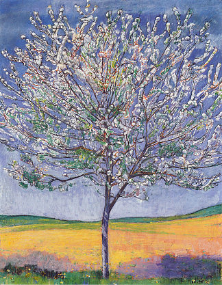 盛开的樱桃树 Cherry Tree in Bloom (1905)，费迪南德·霍德勒