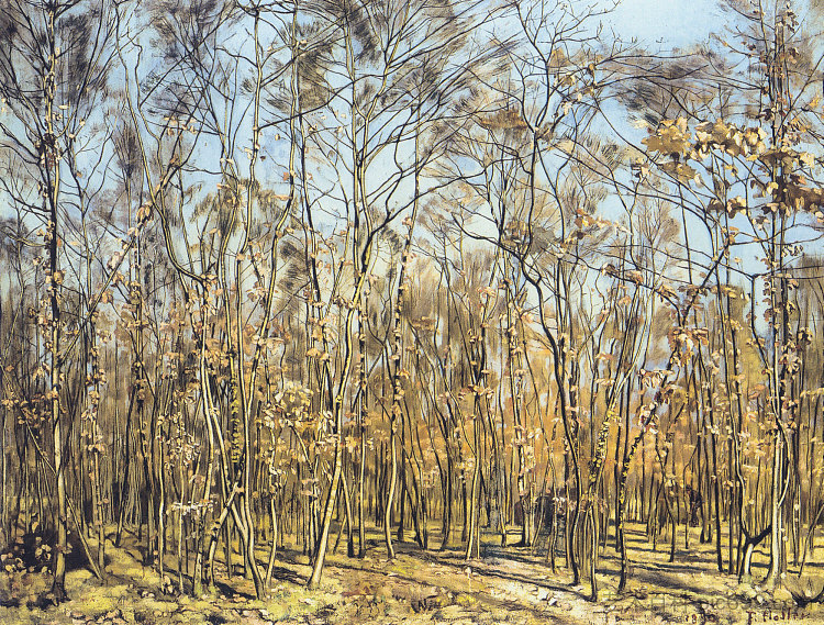 山毛榉森林 The Beech Forest (1885)，费迪南德·霍德勒