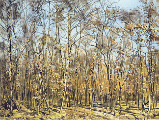 山毛榉森林 The Beech Forest (1885)，费迪南德·霍德勒