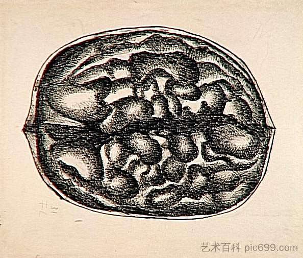 研究坚果 Study nuts (1931)，费尔南德·莱热