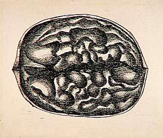 研究坚果 Study nuts (1931)，费尔南德·莱热