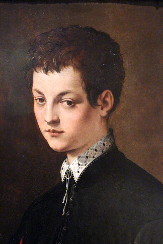 一个年轻人的肖像 Portrait of a young man (1545)，弗朗切斯科·德·罗西（弗朗切斯科·萨尔维亚蒂），“狙击手”