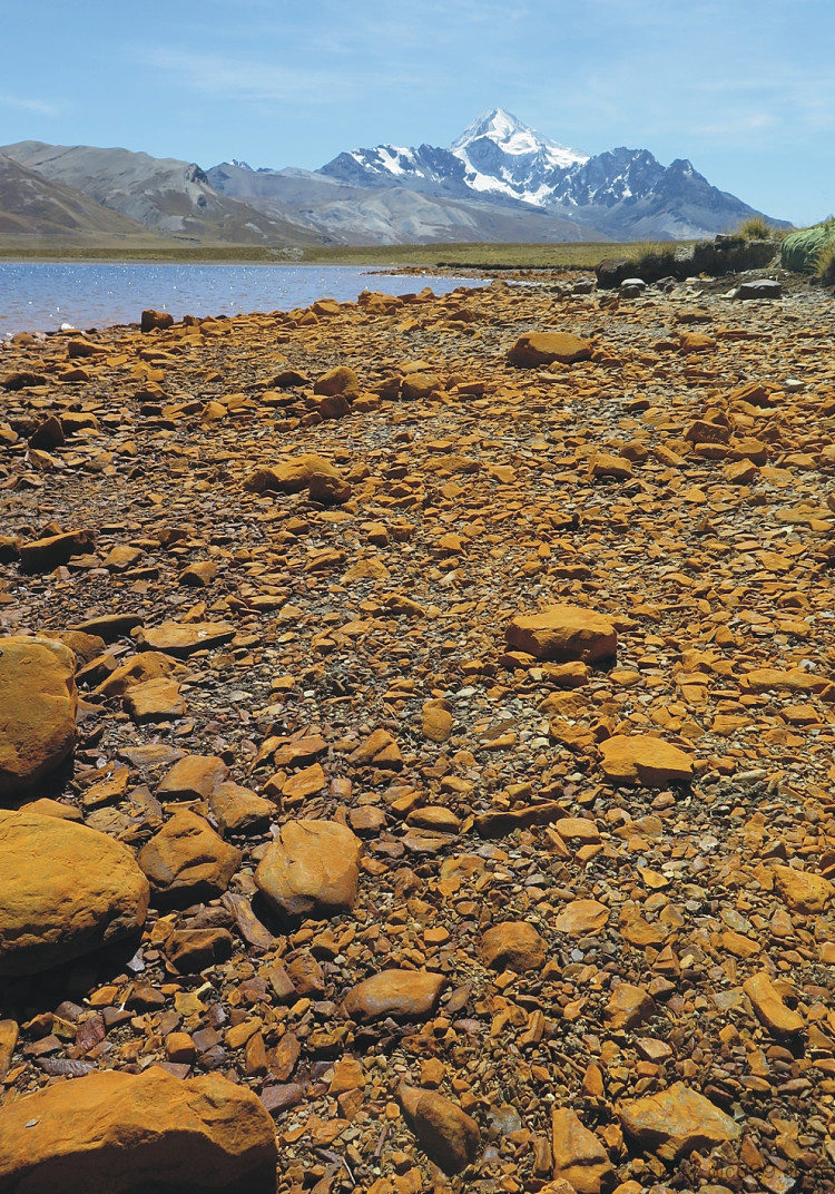 瓦伊娜·波托西，一切都很重要 Huayna Potosí, Todo importa (2018; Bolivia  )，弗兰西斯纳兰霍