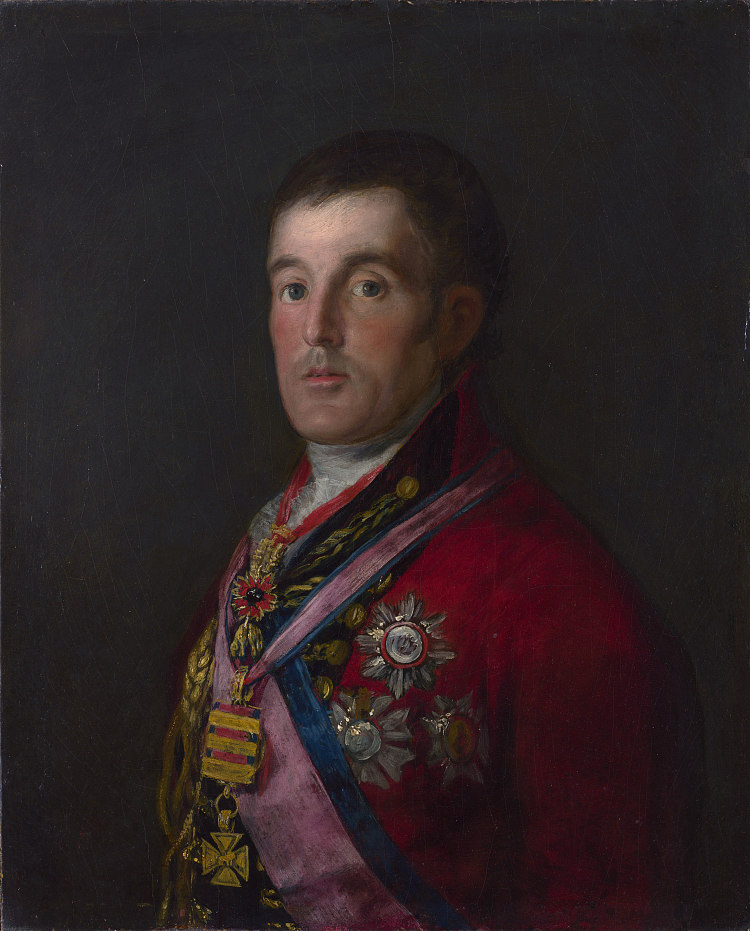 威灵顿公爵 The Duke of Wellington (1812 - 1814)，弗朗西斯科·戈雅