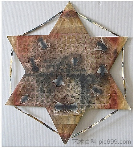 昆虫I-大星形风筝 Insectos I - large star kite (2007)，弗朗西斯科·托莱多