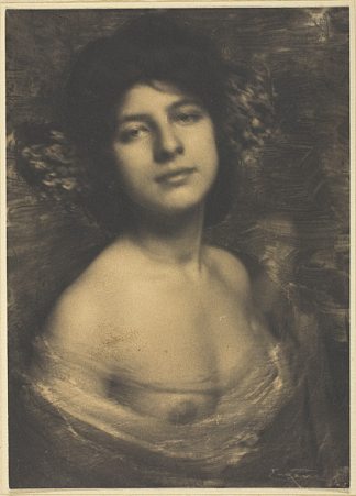 绣球花 Hortensia (1898)，弗兰克·约根