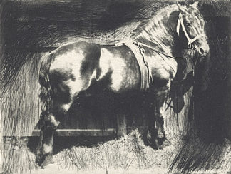 马 The Horse，弗兰克·约根