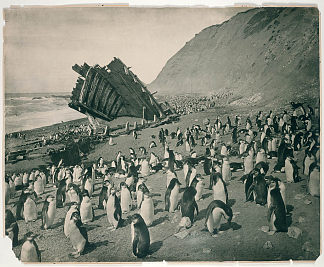 “感恩”号残骸，麦夸里岛 Wreck of the ‘Gratitude’, Macquarie Island (1911)，弗兰克·赫尔利