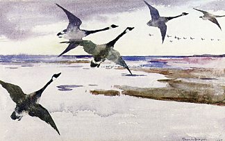 加拿大鹅 Canadian Geese (1895)，弗兰克W·本森
