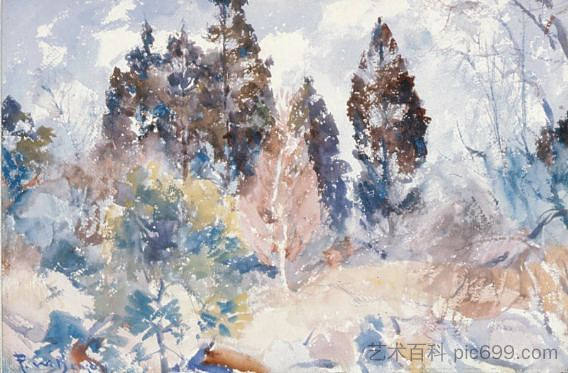 雪松 Cedars (1921)，弗兰克W·本森