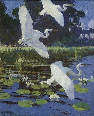 大白鹭 Great White Herons (1923)，弗兰克W·本森