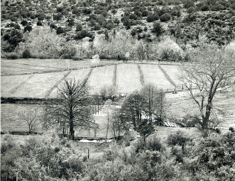 亚利桑那州景观 Arizona Landscape (1943; United States  )，弗雷德里克·索默