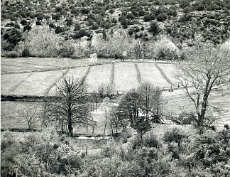 亚利桑那州景观 Arizona Landscape (1943; United States                     )，弗雷德里克·索默