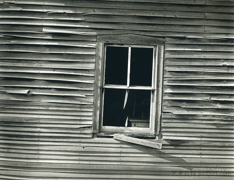 泰勒 (亚利桑那州) Taylor, Arizona (1945; United States ),弗雷德里克·索默