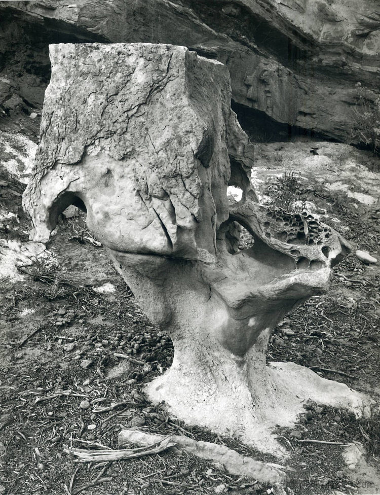 无题 Untitled (1940; United States ),弗雷德里克·索默