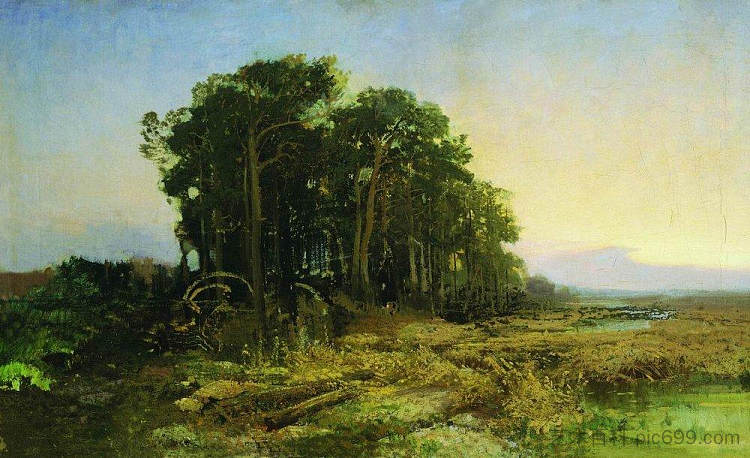 沼泽中的松树林 Pine Grove in the Swamp (1871 - 1873)，费奥多尔·瓦西里耶夫