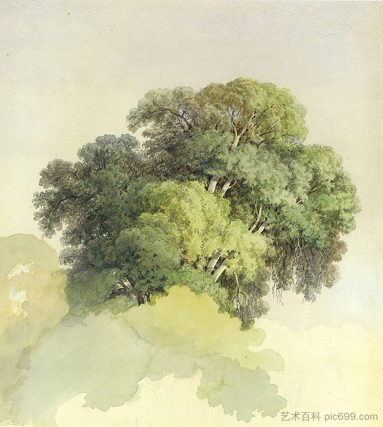 树冠 The Crowns of the Trees (1867)，费奥多尔·瓦西里耶夫