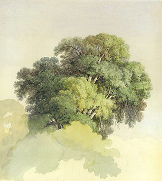 树冠 The Crowns of the Trees (1867)，费奥多尔·瓦西里耶夫