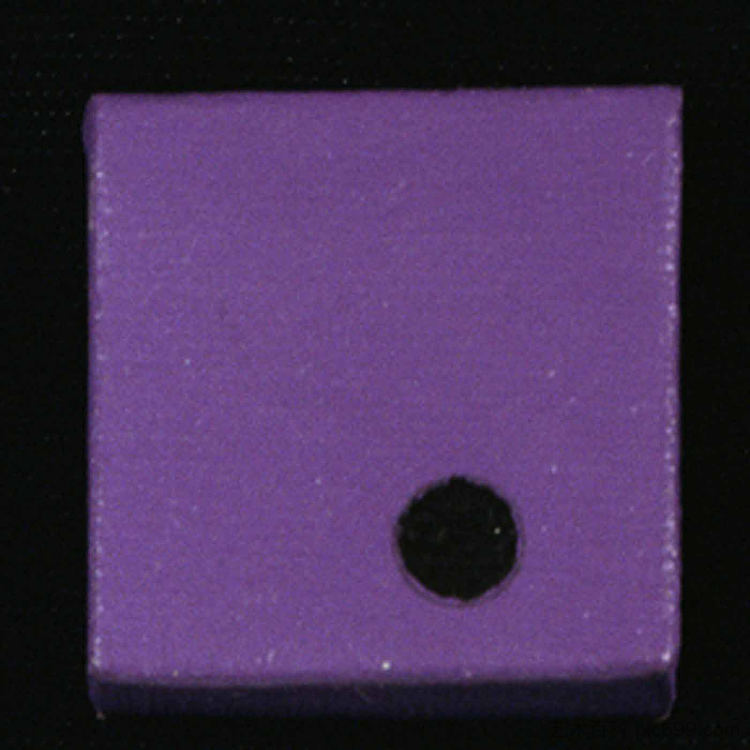 微绘 Micro-Painting (1968)，基因戴维斯