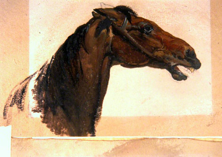 马头 Horse's Head (1836)，乔治·哈维