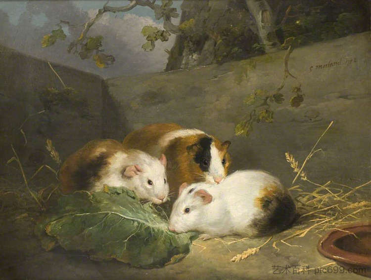 豚鼠 Guinea Pigs (1792)，乔治·默兰德