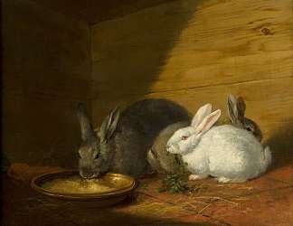 兔 Rabbits，乔治·默兰德