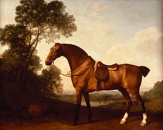 马鞍湾猎人 A Saddled Bay Hunter (1786)，乔治·斯塔布斯