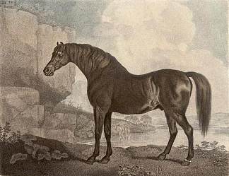 马斯克马 Marske Horse，乔治·斯塔布斯